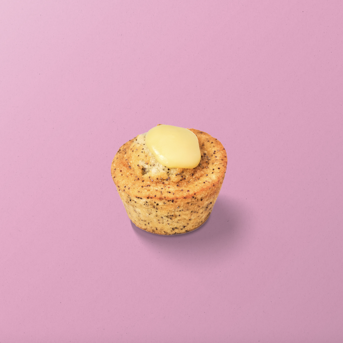 Popotes - Godot Photos 2